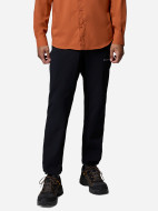 Брюки мужские Columbia Essential Hike Brushed Back Pant — фото №2