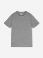 Champion ерлер футболкасы