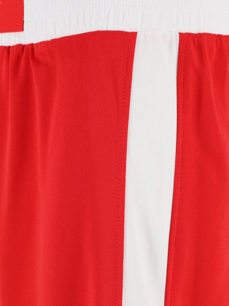 Шорты для бокса Everlast Shorts Elite — фото №3