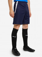 Шорты мужские PUMA Team Liga