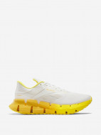 Кроссовки мужские Reebok Floatzig 1