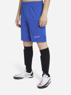 Шорты для мальчиков Nike Dri-FIT Academy