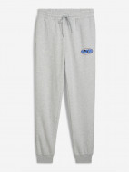 Брюки мужские PUMA Ess Logo Lab Execution