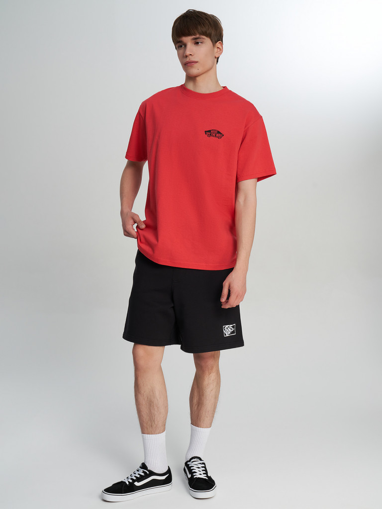Vans Double Standard SS ерлер футболкасы — фото №4