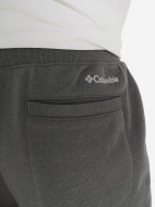 Брюки мужские Columbia Meridian Creek Jogger — фото №6