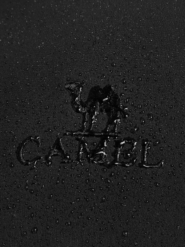 Куртка утепленная мужская Camel — фото №5
