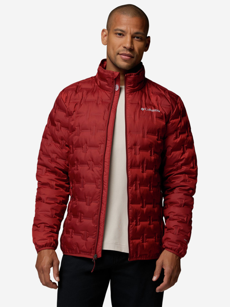 Пуховик мужской Columbia Delta Ridge II Down Jacket — фото №5