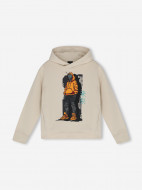 Худи для мальчиков Demix