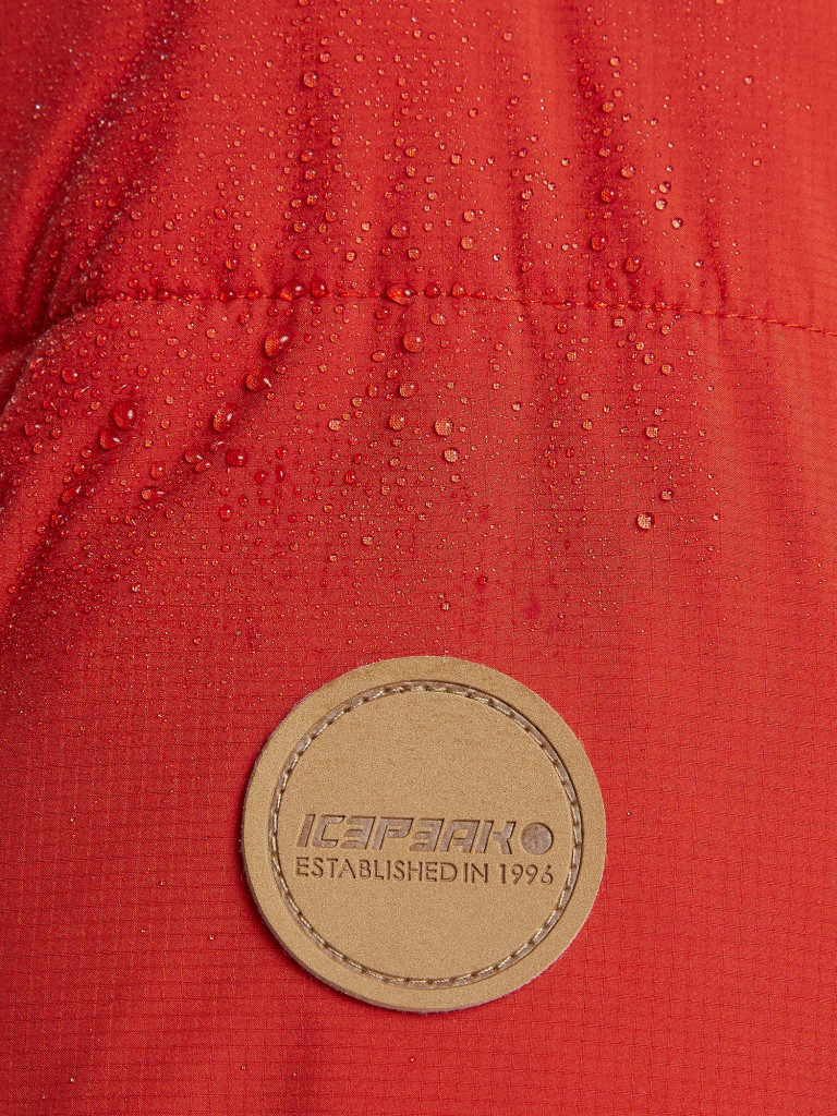 Куртка утепленная мужская IcePeak Bristol — фото №9