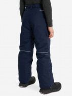 Брюки утепленные для мальчиков Columbia Bugaboo III Pant — фото №3