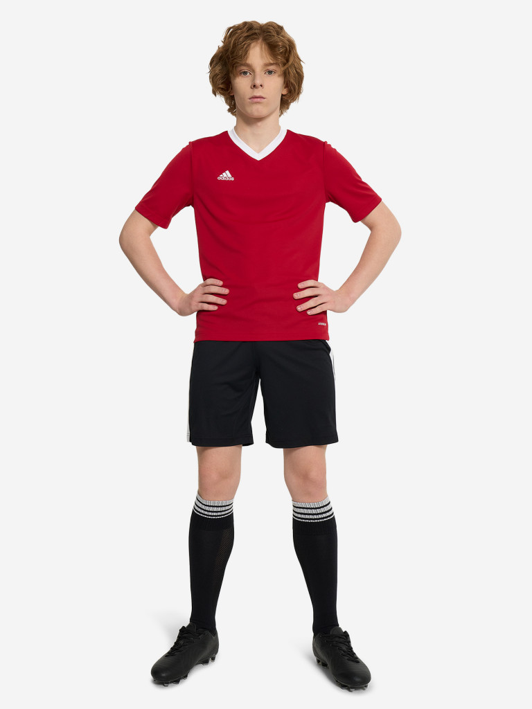 Футболка для мальчиков adidas Entrada 22 — фото №4