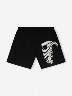 Шорты плавательные мужские Ellesse