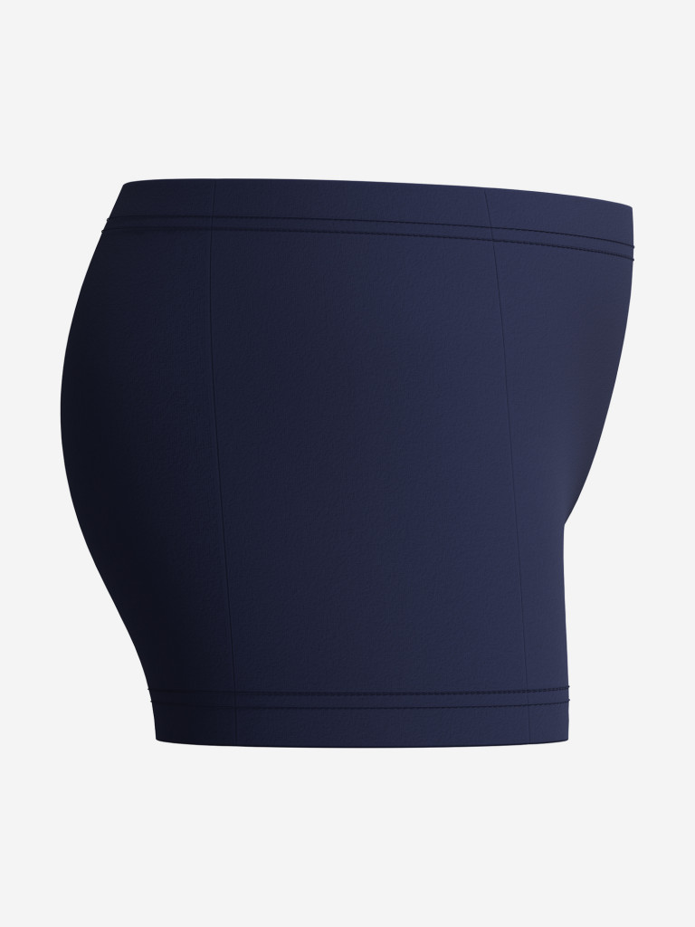 Плавки-шорты для мальчиков Speedo Plastisol Placement Aquasht — фото №7