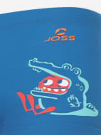 Joss ұлдарға арналған шорт-жүзулігі — фото №3