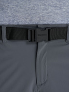 Шорты мужские Zanier — фото №5