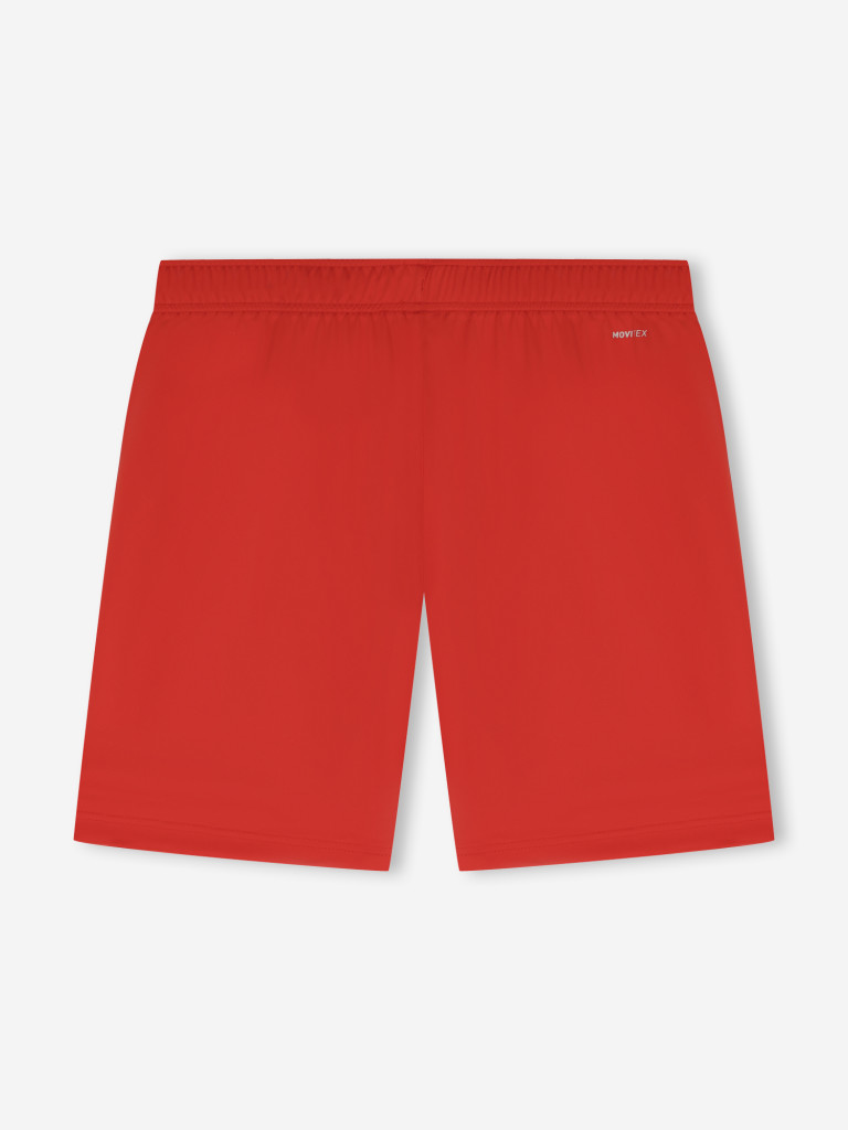 Шорты мужские Demix Matchday — фото №2