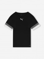 Футболка мужская PUMA TeamRise