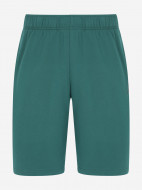 Шорты мужские оверсайз Demix — фото №6