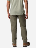 Брюки мужские Columbia Pitchstone Chino Pant — фото №3