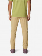 Брюки мужские Mountain Hardwear Ap Active Pant — фото №2