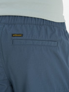 Protest ерлер шорты — фото №11