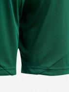 Шорты для мальчиков adidas Tiro24 — фото №3