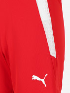 PUMA Teamliga Jr ұлдар шорты — фото №10