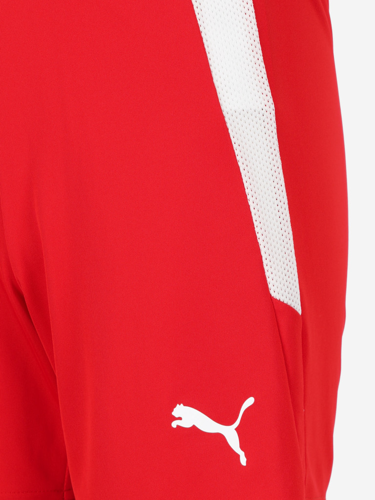 PUMA Teamliga Jr ұлдар шорты — фото №10