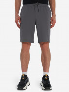 Шорты мужские Demix — фото №2