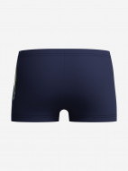 Плавки-шорты для мальчиков Speedo Plastisol Placement Aquasht — фото №2