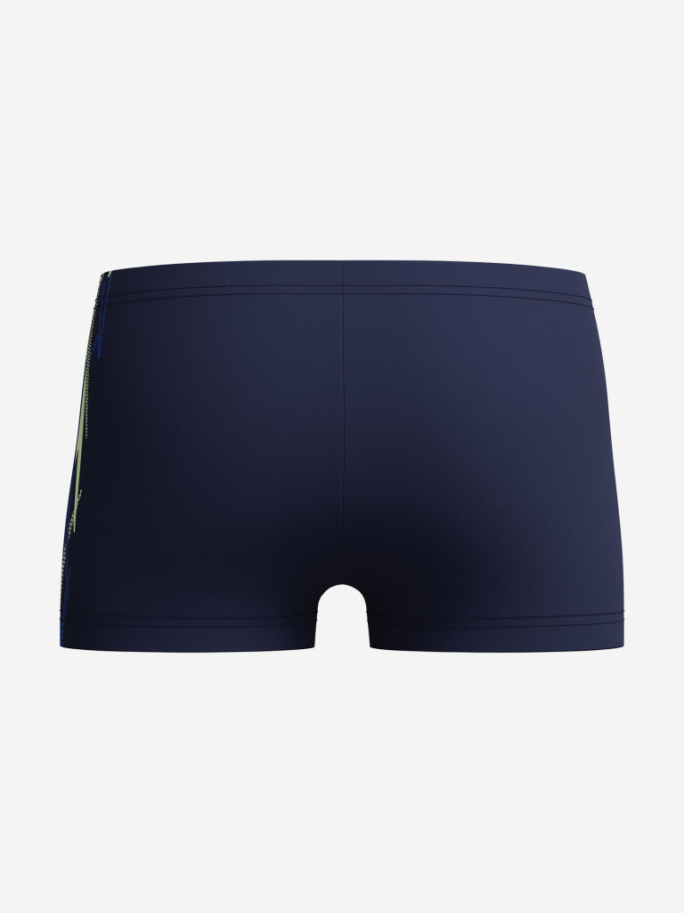 Плавки-шорты для мальчиков Speedo Plastisol Placement Aquasht — фото №2