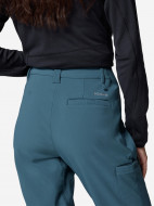 Брюки женские Columbia Back Beauty Warm Softshell Pant — фото №7