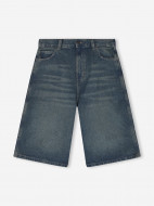 Шорты мужские DICKIES 13 Inch Loose — фото №11