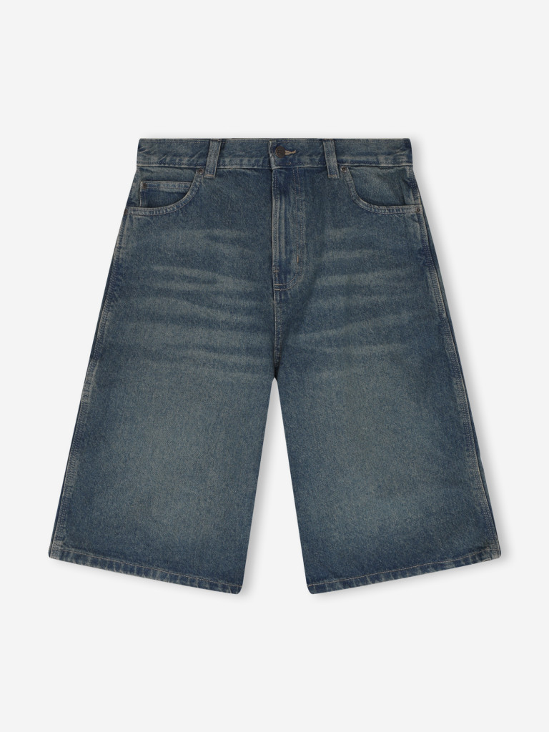 Шорты мужские DICKIES 13 Inch Loose — фото №11