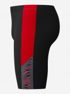 Джаммеры мужские Speedo Dive — фото №8