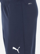 PUMA teamRISE ұлдар шорты — фото №8