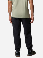 Брюки мужские Columbia Timber Crest Mtr Fleece Pant — фото №3