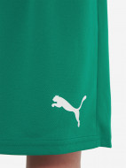 PUMA Teamrise ұлдар шорты — фото №6