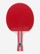 Набор для настольного тенниса Torneo Hobby Plus: 2 ракетки, 3 мяча, сетка — фото №3