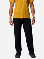 Брюки мужские Columbia Pitchstone Chino Pant — фото №2