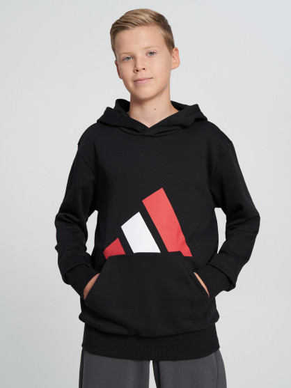 adidas ұлдарға арналған худиі