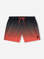 Шорты плавательные мужские Protest