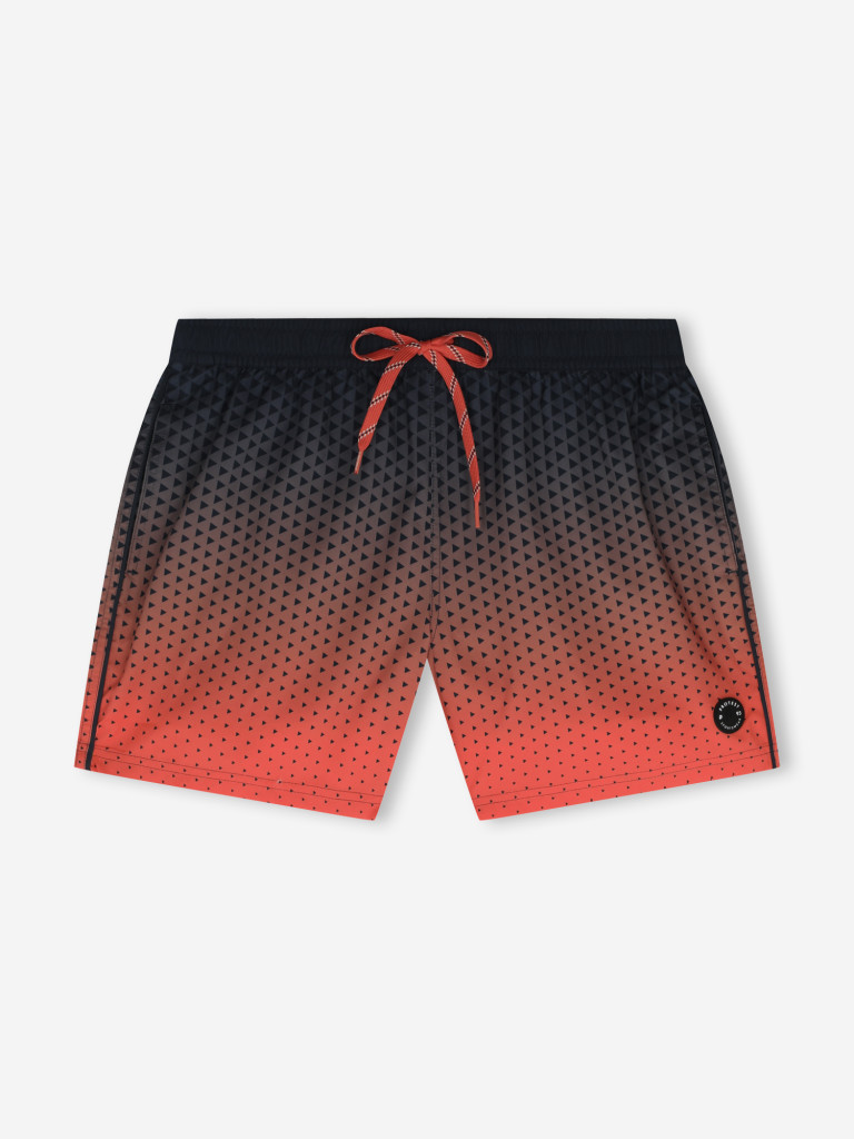 Шорты плавательные мужские Protest