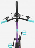 Велосипед для девочек Roces Amico 20" — фото №3