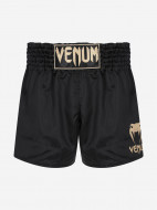 Шорты для тайского бокса Venum