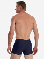 Плавки-шорты мужские Speedo Medley — фото №2