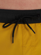 Шорты плавательные мужские Joss — фото №3