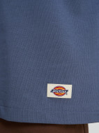 Футболка мужская DICKIES Mineral Heavyweight — фото №6