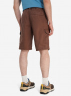 Шорты мужские Cordillero — фото №3