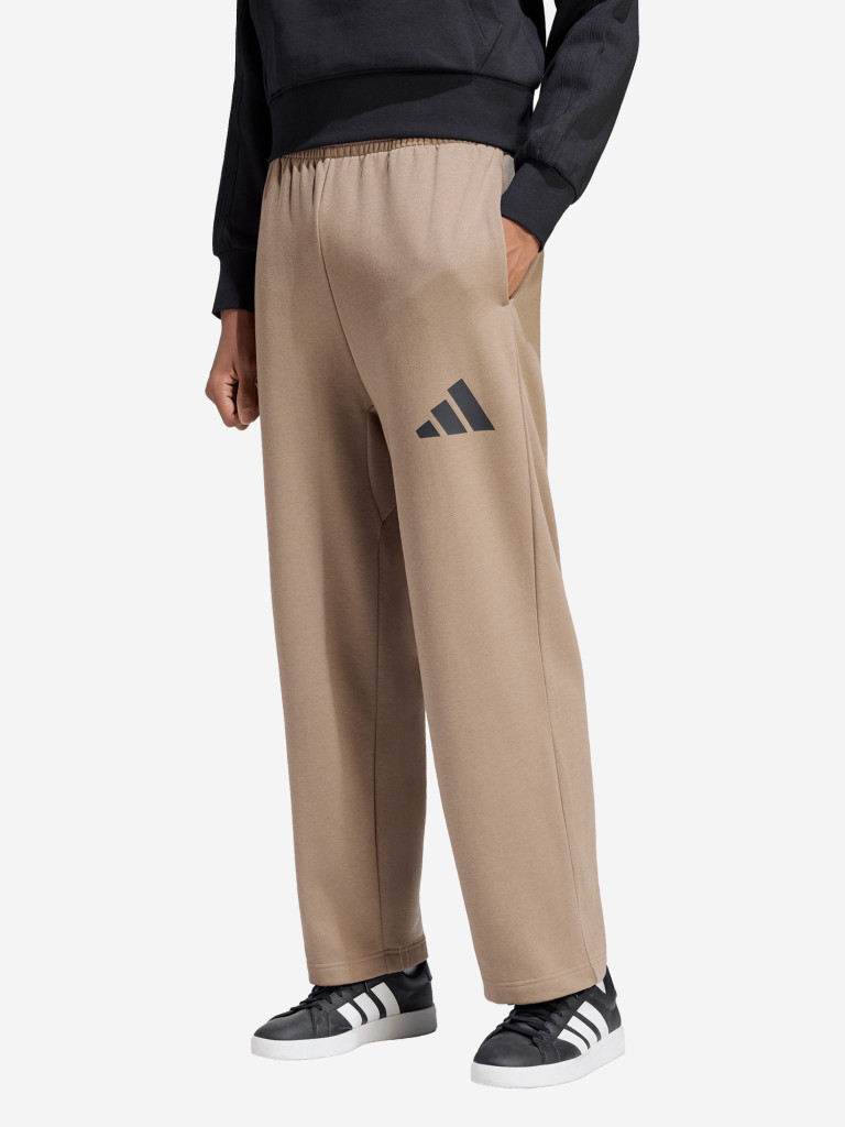 adidas ерлер шалбары